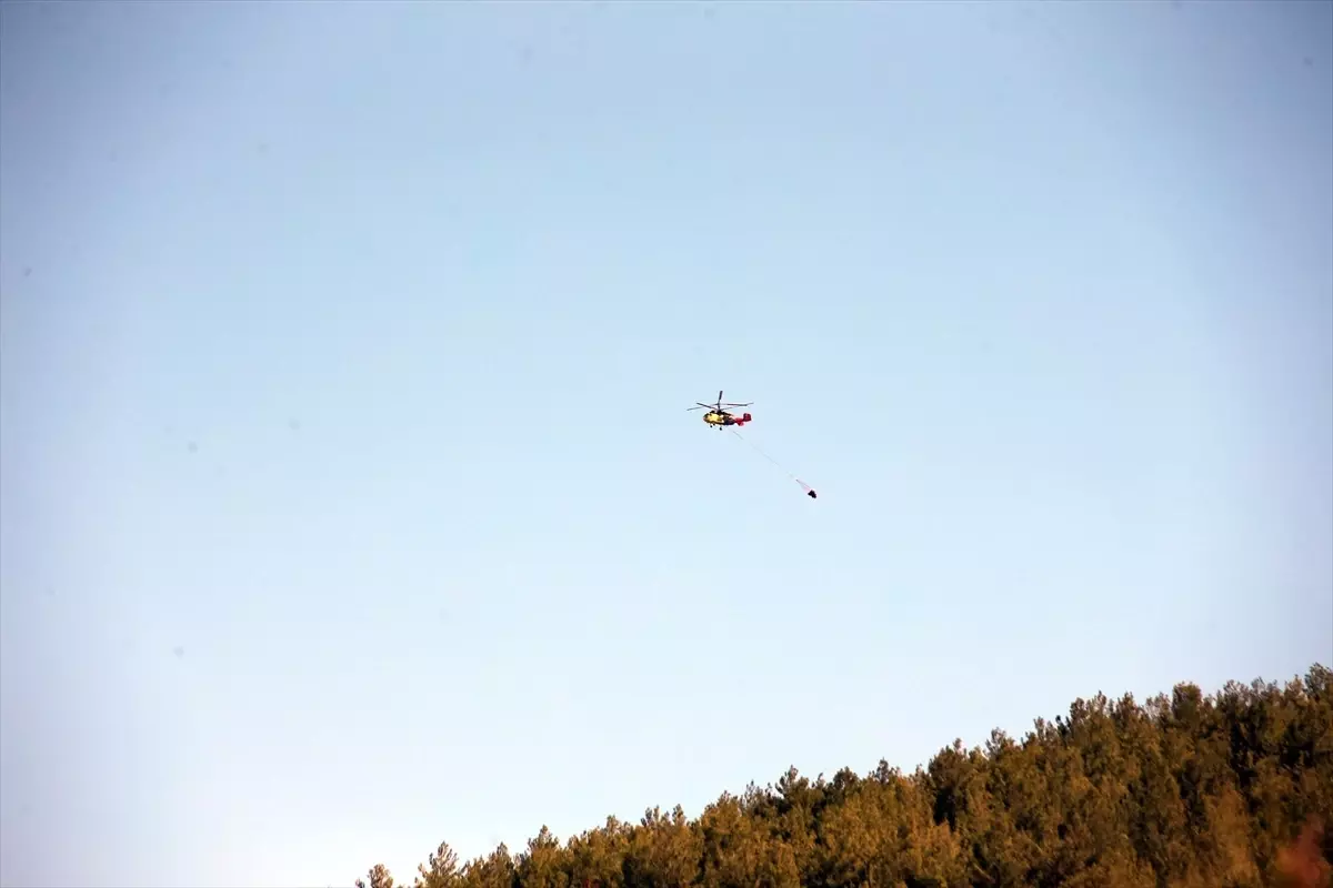 cinede orman yangini kontrol altina alindi aMKH2pH6
