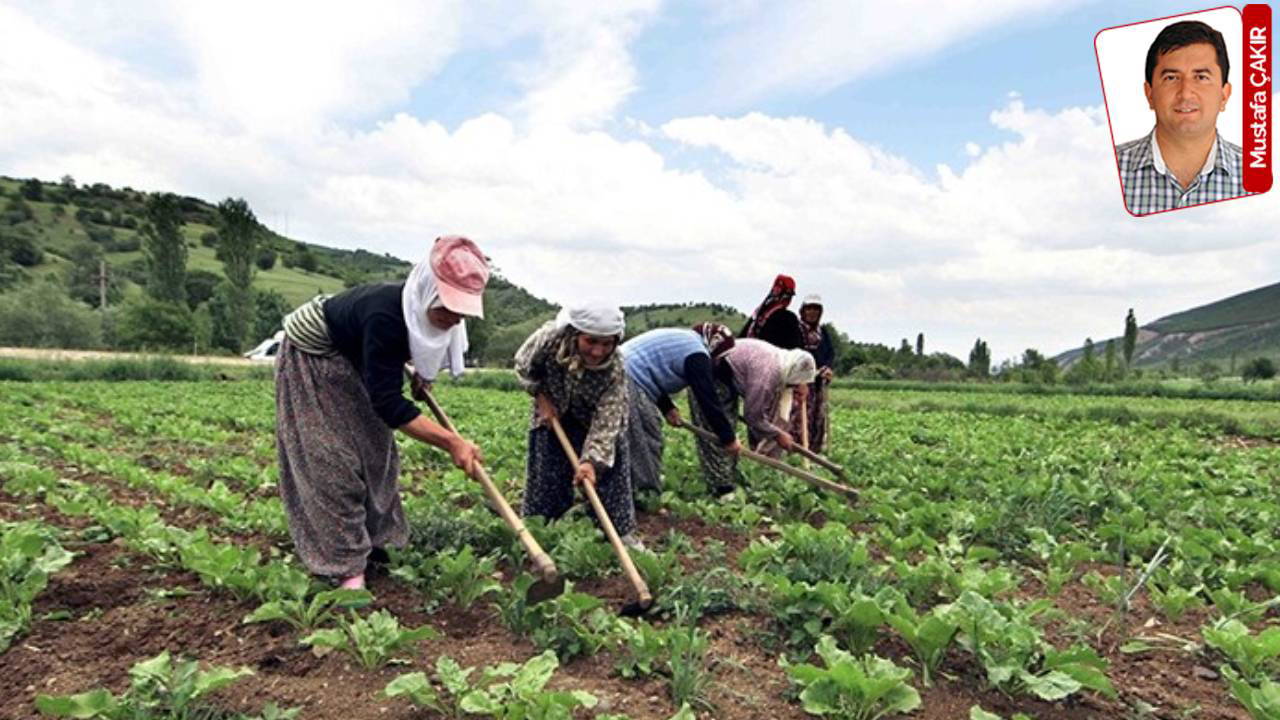 ciftcinin faiz yuku geri cekildi kredi limiti yerinde saydi olumu gosterip sitmaya razi ediyorlar ztd2w1m3.jpg