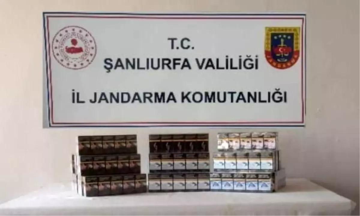 sanliurfada 910 paket kacak sigara ele gecirildi ZKq9OLu4