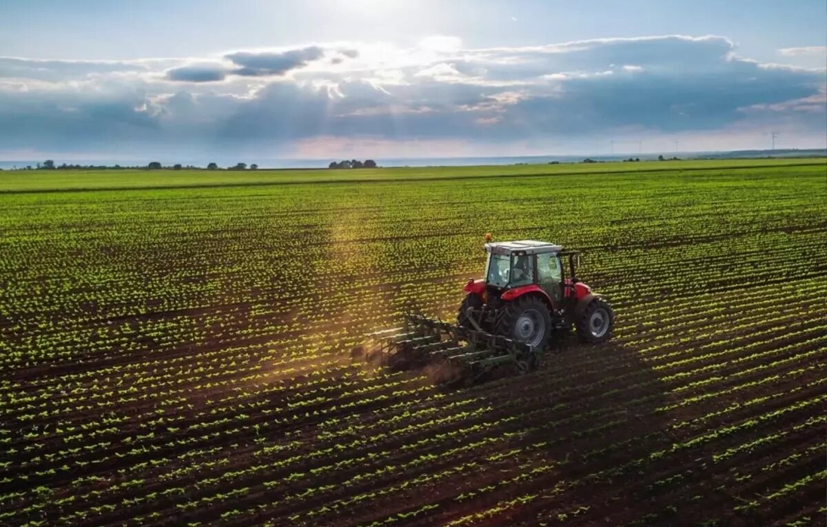 tarlasini surerken patlamamis top mermisi buldu VESGPtuB.jpg