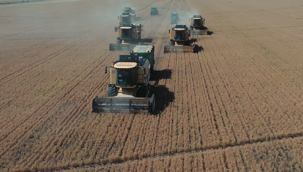 tigem mevsimlik isci alimi basvuru ekrani tarim isletmesi mudurlugu isci alimi kadro dagilimi ve basvuru sartlari lE4yJDqw