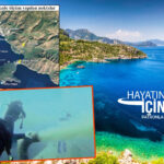 Bizim icin doga turkiyenin en buyuk sermayesidir bu yuzden marmaris korfezi icin fatih cekirgenin XsZ8ylB8