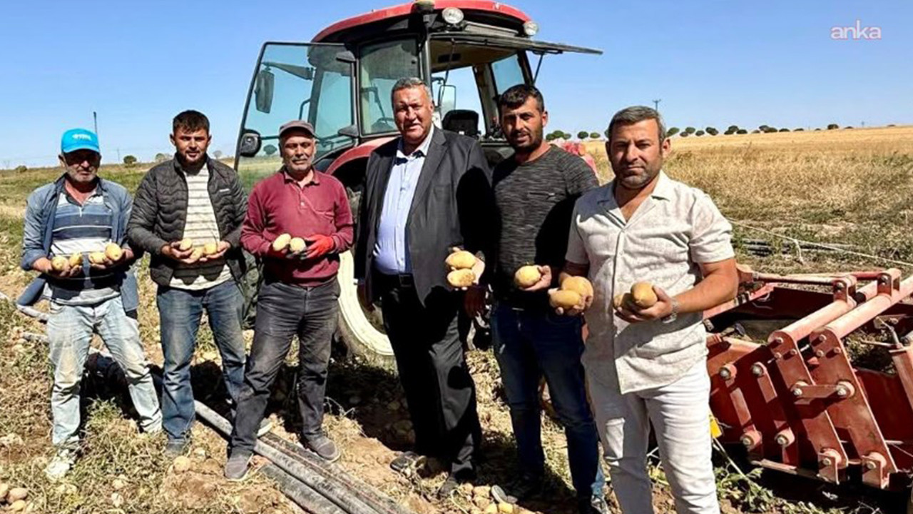 Ciftcinin borcu 14 trilyon lirayi asti sut inekleri de satista hptcGTj7