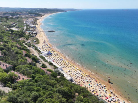 Haber gorseli