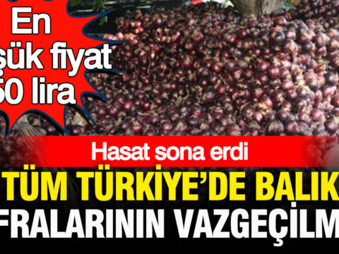 Haber gorseli