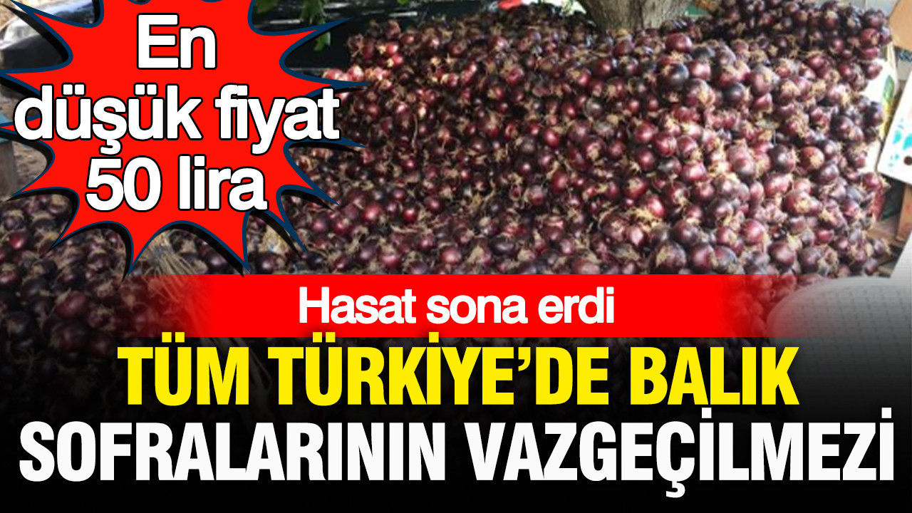Haber gorseli